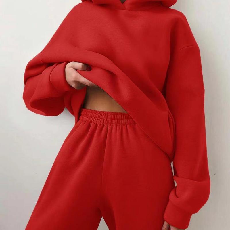 Pull à capuche décontracté pour femme, costume deux pièces, vêtements à capuche, survêtement